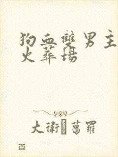 狗血双男主追妻火葬场