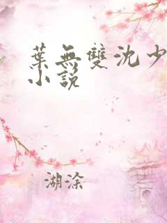 叶无双沈少爷的小说