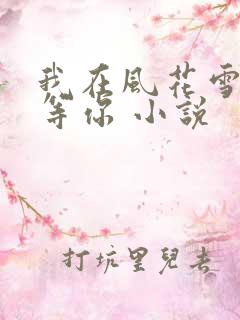 我在风花雪月里等你 小说