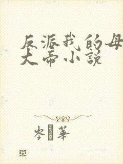 反派我的母亲是大帝小说