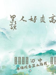 黑人好爽高h小说