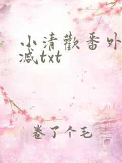 小清欢番外未删减txt