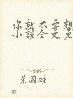 你就不要想起我小说全文免费阅读