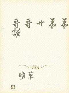 哥哥艹弟弟的小说