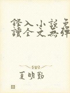 锋入小说免费阅读全文无弹窗