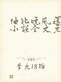 他比晚风还温柔小说全文免费阅读