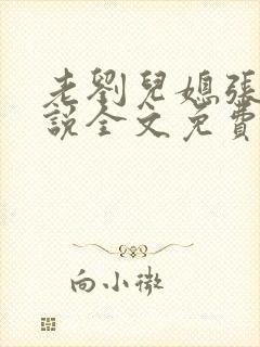 老刘儿媳张岚小说全文免费阅读