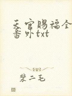天官赐福全文加番外txt