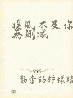 暖风不及你情深无删减