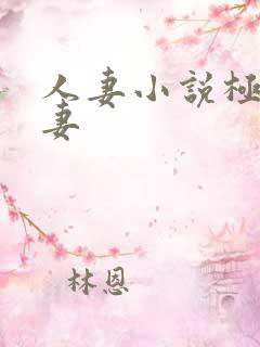 人妻小说极品人妻