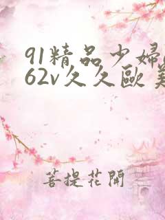 91精品少妇a62v久久欧美