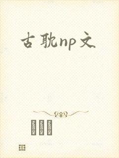 古耽np文