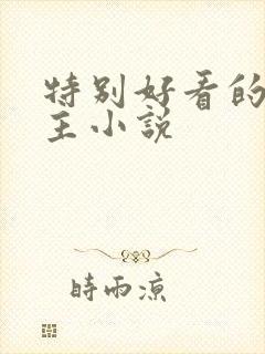 特别好看的双男主小说