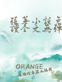 张华小说免费阅读全文无弹窗