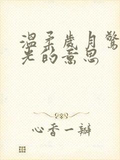 温柔岁月惊艳时光的意思