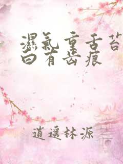 湿气重舌苔肥厚白有齿痕