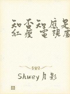 知否知应是绿肥红瘦 电视剧免费观看