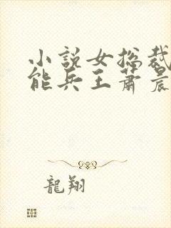 小说女总裁的全能兵王萧晨免费