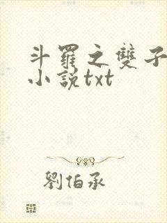 斗罗之双子斗罗小说txt