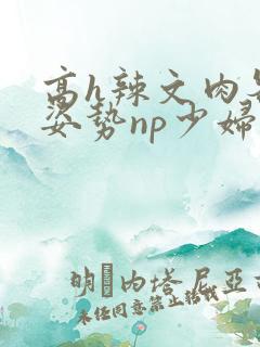 高h辣文肉各种姿势np少妇