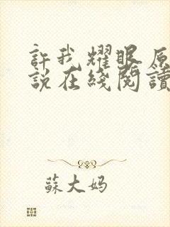 许我耀眼原著小说在线阅读