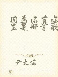 因为你有你的人生是哪首歌的歌词