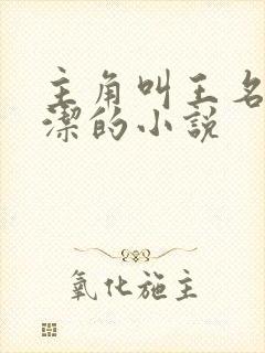 主角叫王名浩李洁的小说