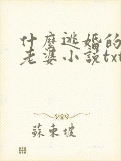 什么逃婚的是我老婆小说txt
