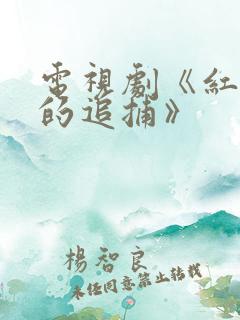 电视剧《红岩下的追捕》