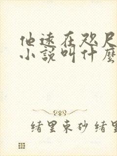 他远在咫尺原著小说叫什么名字