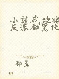 小说,我攻略的反派都黑化了