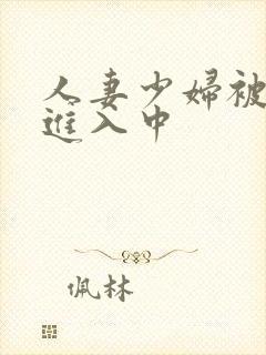 人妻少妇被猛烈进入中