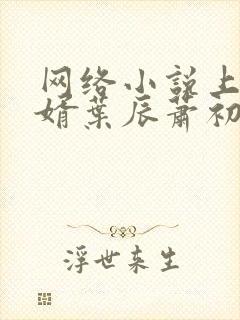 网络小说上门龙婿叶辰萧初然