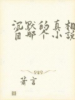 沉默的真相改编自哪个小说