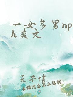 一女多男np巨h爽文