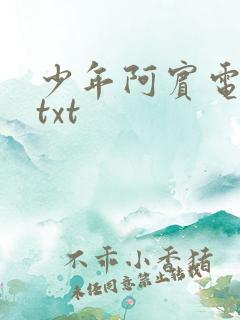 少年阿宾电子书txt