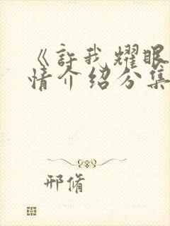 《许我耀眼》剧情介绍分集