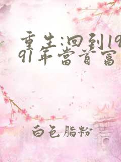 重生:回到1991年当首富 小说