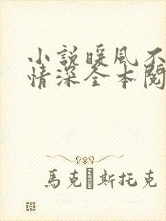 小说暖风不及你情深全本阅读