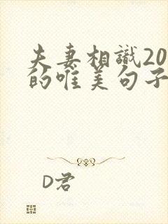 夫妻相识20年的唯美句子