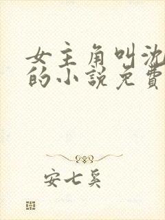 女主角叫沈南乔的小说免费阅读