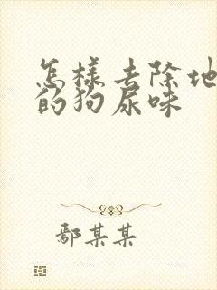 怎样去除地板上的狗尿味