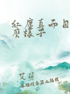 红尘真面目长什么样子