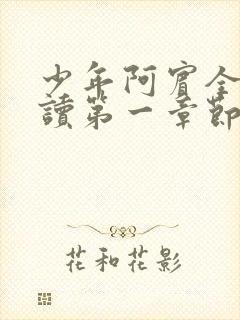 少年阿宾全文阅读第一章节房东太太