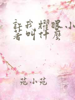 许我耀眼小说原著叫什么