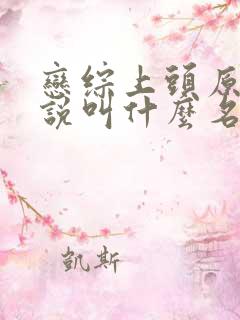 恋综上头原著小说叫什么名字