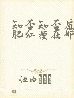 知否知否应是绿肥红瘦在哪个平台播