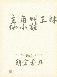 主角叫王林的修仙小说