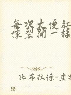 每次大便肛门好像裂开一样