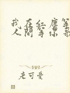 我在红尘等你 人间等你 歌名